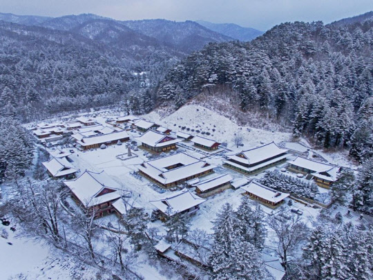 스님 일상 체험 프로그램은 오대산 국립 공원 안의 월정사에서 스님의 삶을 하루 체험하며 불교 체험을 할 수 있다. 스님의 이야기를 들으며 절 주변에서 전통차나 지역 커피를 맛볼 수 있다. 인터컨티넨탈 알펜시아 평창 리조트 제공